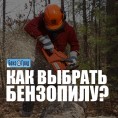 Как выбрать бензопилу? Как выбрать бензопилу?